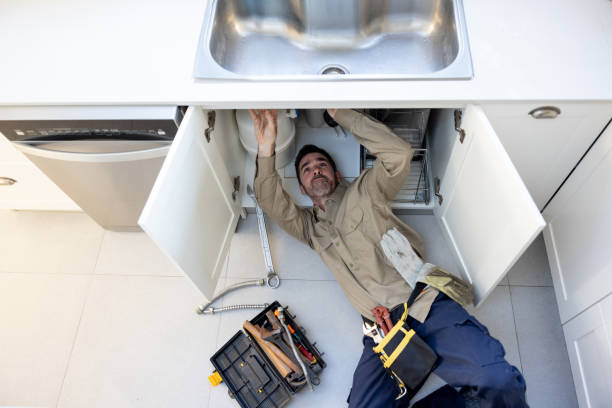 Best Plumbing Inspection Services  in Lake Success, NY